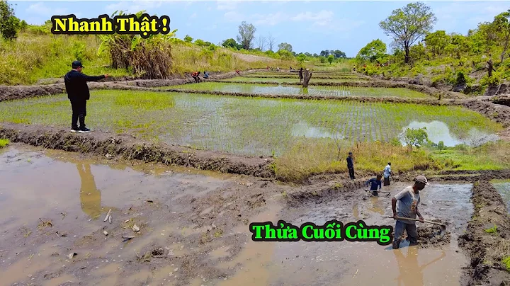 Quang Dũng || Cơm Ăn Rất Ngon Và Đầy Đủ Dinh Dưỡng Vì Vậy Chúng Tôi Quyết Học Cách Làm Ra Hạt Gạo