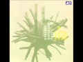 Esbjörn Svensson Trio - Reminiscence Of A Soul