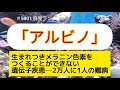 #5001 「アルビノ」生まれつきメラニン色素をつくることができない「アルビノ」と呼ばれる遺伝子疾患─2万人に1人の難病の息子を抱える母親が「見世物にするな」と非難されてもSNS発信をやめない理由。