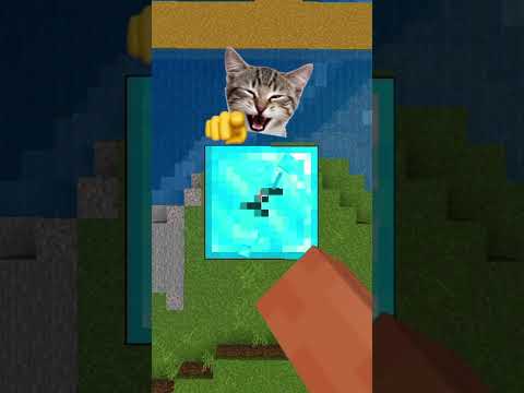 Steve=Herobrine? #minecraft​​ #shorts​