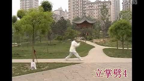 Wu Xing Quan (五行拳), Song Style Xingyi Quan (宋氏形意拳), Kang Erbao (康二保), part 1