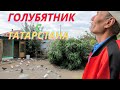Голубятник Салим с Татарстана в Астрахани!