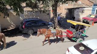 cabalgata de la Virgen Candelaria 2023