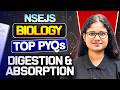 Top PYQ's of Digestion &amp; Absorption | NSEJS Biology 2026