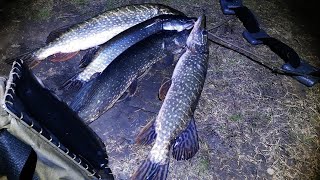 Подводная охота весна 2019 часть 1 ЧАСТНЫЙ ВОДОЕМ!!! Подводная охота весна 2019 часть 1 ЧАСТНЫЙ ВОДОЕМ!!!
