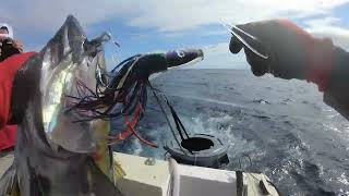 Saltwater Trolling Tips for Less Experienced Fishermen