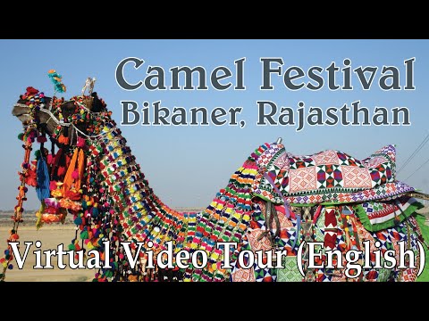 Camel Festival, Bikaner, Rajasthan