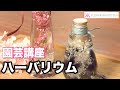 【園芸講座】ハーバリウム テレビ 「楽しい花辞典」放映中 FLOWER-INN OOTSUKI