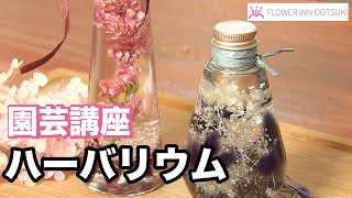 【園芸講座】ハーバリウム テレビ 「楽しい花辞典」放映中 FLOWER-INN OOTSUKI