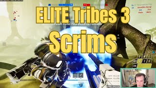 Learning from the best players in Tribes 3 (Capping / Offense Guide)
