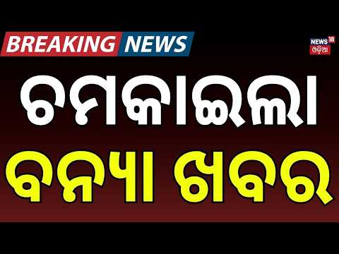 ଚମକାଇଲା ବନ୍ୟା ଖବର ! Jajpur Flood Crisis: Dasarathpur & Binjharpur Still Under Water | Flood News
