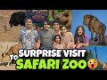 Surprise visit to safari zoo  lion se darr gae cousinology