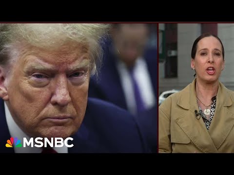 Lisa Rubin: Other witnesses possible in Trump hush money trial
