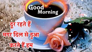 Good morning shayari video💖 गुड मॉर्निंग शायरी🌹 good morning status🌹Good morning wishes🌹 Photos screenshot 5