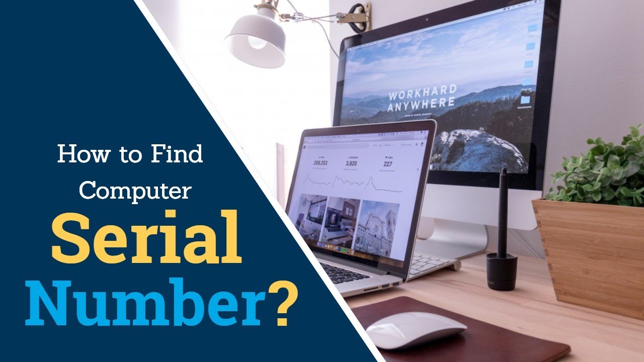 How to Find Your Windows PC's Serial Number Or Identification Number ...