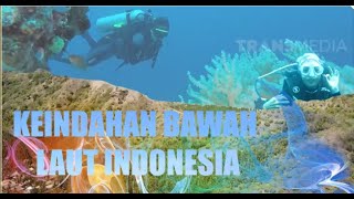 KEINDAHAN BAWAH LAUT INDONESIA | RAGAM INDONESIA