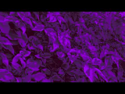 Jæsee Natalie Winsall Float Official Audio 