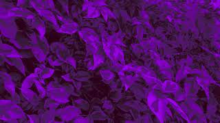 Jæsee & Natalie Winsall - float. (Official Audio)