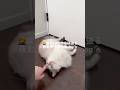 🤦♀️疲労MAXでも頑張る夜勤明け帰宅後vlog🏡