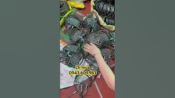 Kẹp bán Nguyệt bẫy chim cò vạc siêu hiệu quả