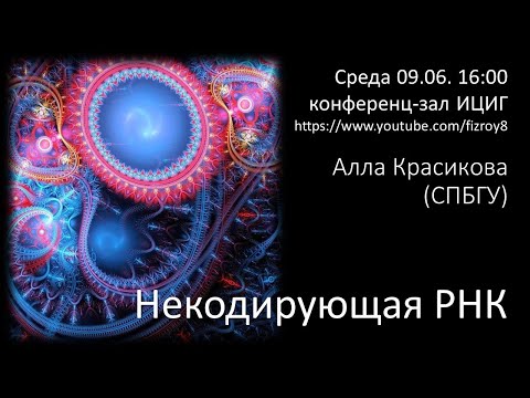 Алла Красикова "Некодирующие РНК"