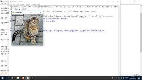 Python Programozás Oktatás:  Pygame - Macska és Egér kép betöltése