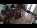 Woman shares freaky security footage of &#39;ghost&#39; removing dog&#39;s collar