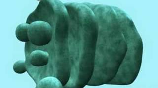 Proteintraffickingrus