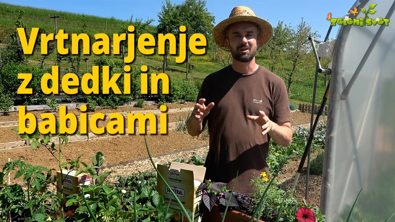 Rastline na vrtu, ki jih otroci obožujejo