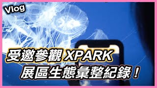 去青埔Xpark前必看|台灣八景島水族館生物有哪些？｜魚群｜水母｜企鵝｜海豹以及企鵝陪伴的咖啡廳！