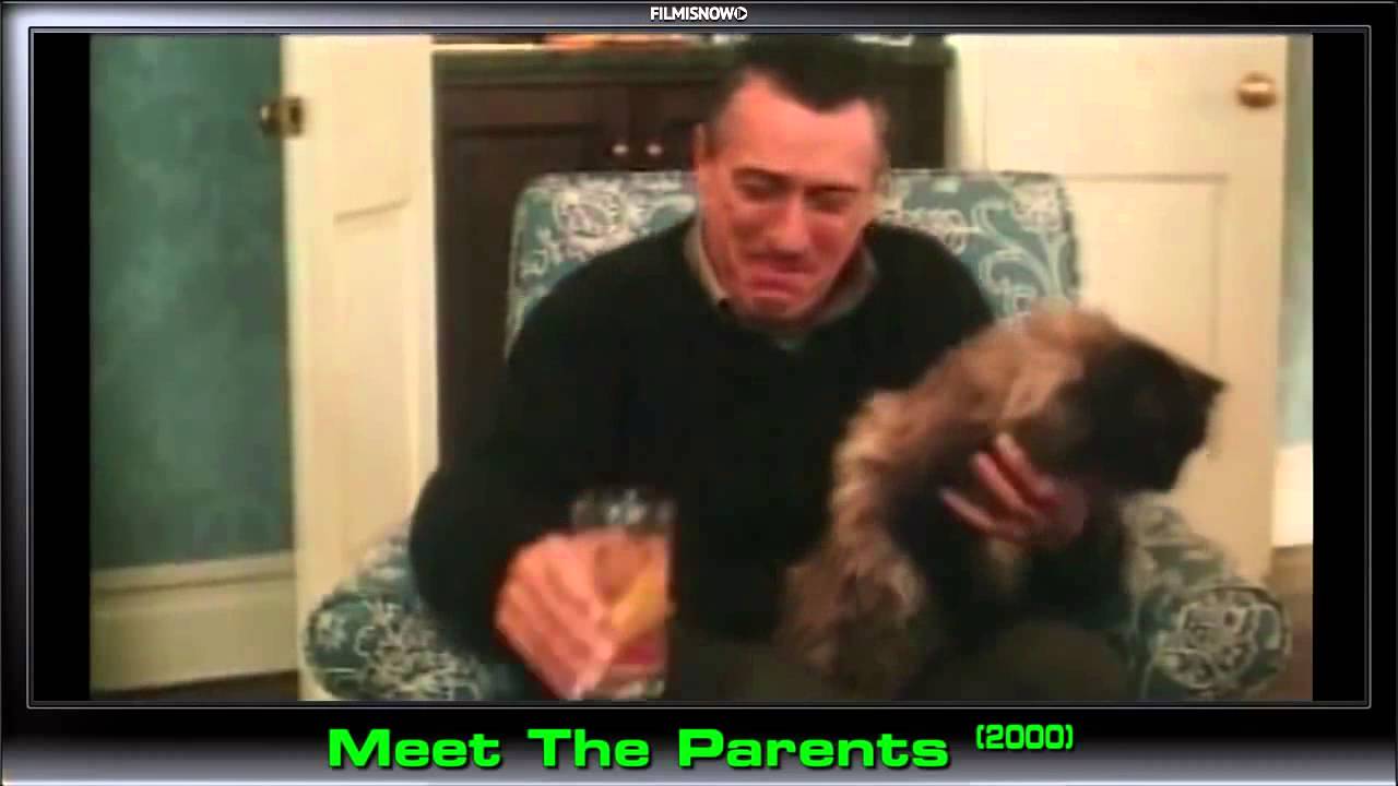 Meet the Parents 2000 Bloopers, Gag Reel & Outtakes Part1 2 mp4 - YouTube
