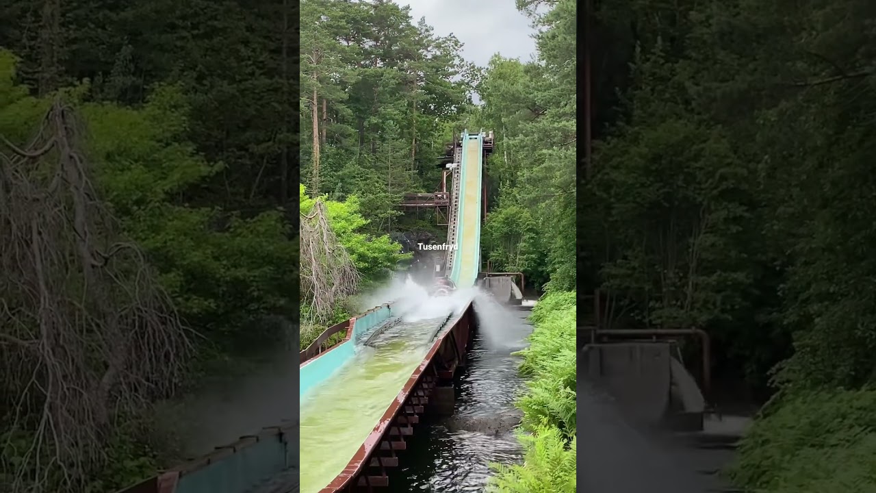 Coastermania. Pls visit Payfaction.com, a booking platform for all kind of activity businesses.🙏