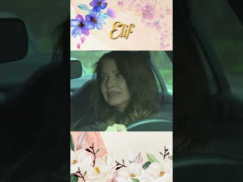 حادث مريع Shorts إليف Elifarabic