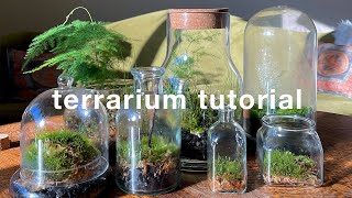 How to make a closed terrarium and basic care | easy tutorial