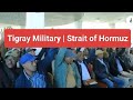 Tigray Military Generals Meet Strait Of Hormuz 