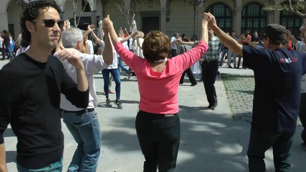 La Vall de Camprodon de Ricard Viladesau
