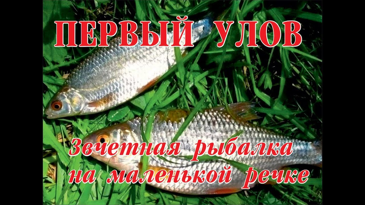 Рыбалка на речке. Первая добыча. Телефон капризит..Уехали из города в ...