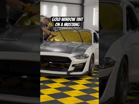 Gold Automotive Window Tint