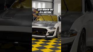 Real Gold Window Tint Looks Tinteresting
