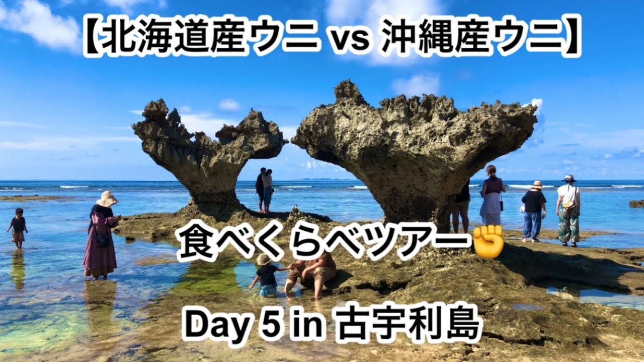 北海道産ウニ Vs 沖縄産ウニ 食べくらべツアー Day 5 古宇利島編 Youtube