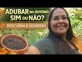 Adubar no Outono: Sim ou Não? 🍂 Descubra o Segredo para Plantas Saudáveis!