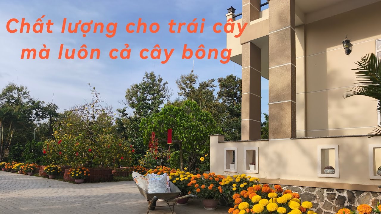 # 195 Trao đổi cùng anh em muốn tìm hiểu phân Gatit của Israel 