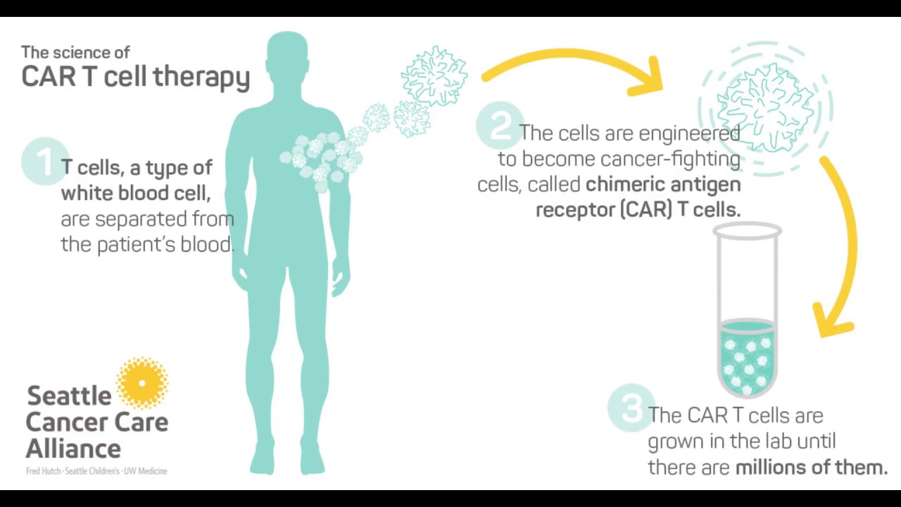 The science of CAR T Cell therapy YouTube The science of CAR T Cell therapy YouTube