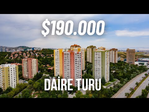 ÇAYYOLU MESA KORU