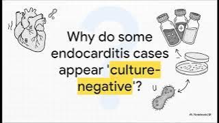 Abiotrophia defectiva