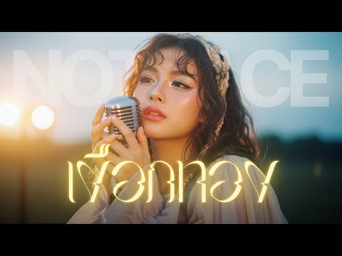 เงือกทอง - JAZZ Cover BY [ NOTRACE Studio717 ]