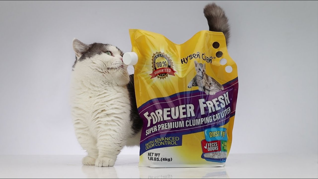 Best Natural Sodium Bentonite Cat Litter On the Earth YouTube