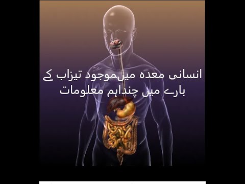 Hydrochloric Acid in Stomach Function