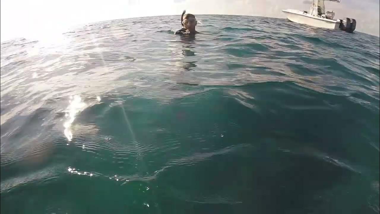 Spearfishing in FL Keys YouTube
