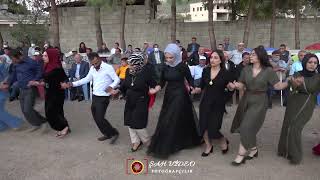 Daha Önce Böyle Halay Çeken İzlemedi̇ni̇z Şah Vi̇deo İrtb0553 955 96 00